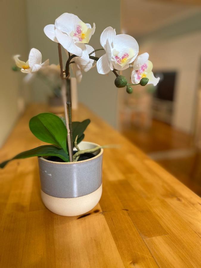 LisboaBairro Alto 1公寓 外观 照片